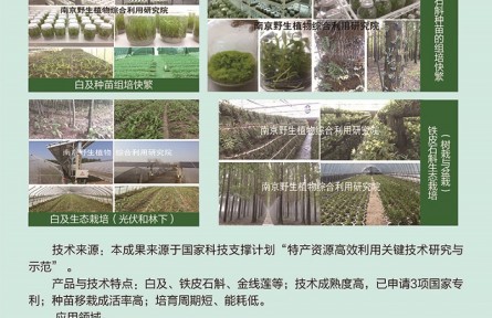 功能性植物種苗工廠化組培快繁、生態(tài)立體種植及高值產(chǎn)品開發(fā)