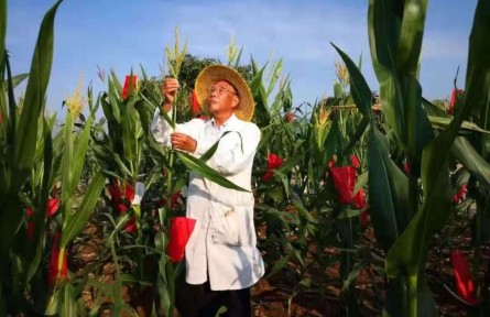 程相文：做一顆好種子（沈燕君）