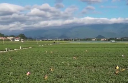 湖南：著力推進(jìn)農(nóng)業(yè)現(xiàn)代化 奮力打造新時(shí)代“魚米之鄉(xiāng)”