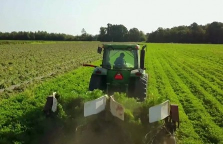 河南：加快轉(zhuǎn)型升級(jí) 實(shí)現(xiàn)農(nóng)業(yè)高質(zhì)量發(fā)展