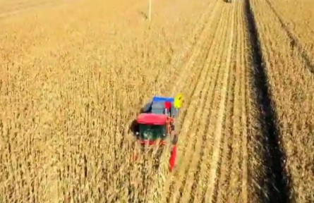 ?  吉林：加強糧食產(chǎn)后配套服務(wù) 爭當糧食安全“壓艙石”