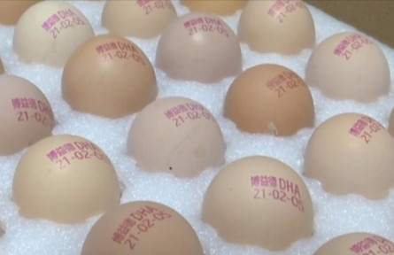 江蘇淮安盱眙縣鮑集鎮(zhèn)鄒黃村：打碼的雞蛋，新鮮看得見！?