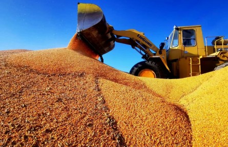 北大荒集團加快糧食統(tǒng)營進程保障國家糧食安全