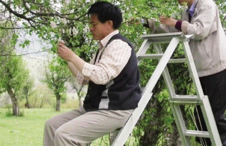 山東農(nóng)業(yè)大學(xué)：“硬核”科技助力打好種業(yè)“翻身仗”