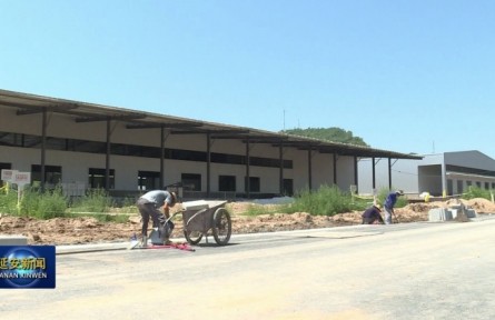 陜西黃陵縣：冷鏈物流帶動(dòng)農(nóng)業(yè)轉(zhuǎn)型