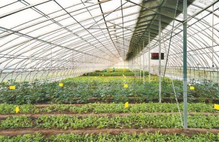 山東曹縣磐石街道五里墩村：農(nóng)牧循環(huán) 譜寫鄉(xiāng)村振興華章