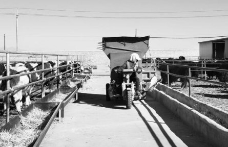 青海海西州：鄉(xiāng)村振興里的“?！惫适?></a></td>
<td align=