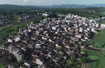 福建：實施鄉(xiāng)村振興戰(zhàn)略 加快建設現(xiàn)代農業(yè)強省