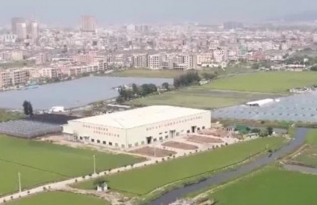 廣東：構建現(xiàn)代農業(yè)產業(yè)新體系 助力鄉(xiāng)村振興