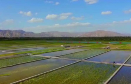 寧夏：牢記殷殷囑托 守護巍巍青山 保衛(wèi)滔滔黃河