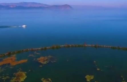 云南昆明：建成滇池環(huán)湖生態(tài)帶6.29萬畝