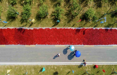 安徽長豐：電商示范引領 賦能鄉(xiāng)村振興