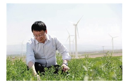 曹有龍：讓寧夏枸杞 紅遍寧夏