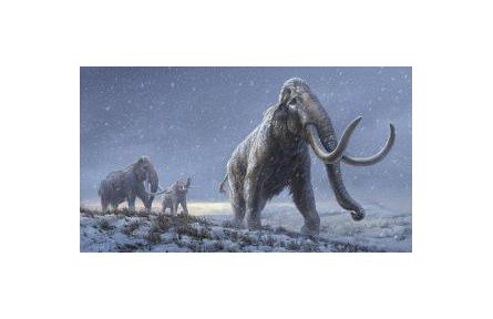 165萬(wàn)年前“最古老”DNA如何被發(fā)現(xiàn)？