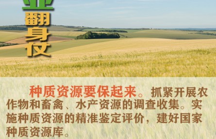 打好種業(yè)翻身仗 看農(nóng)業(yè)農(nóng)村部怎么說
