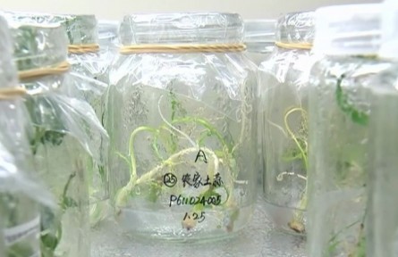 劉錄祥：種質資源保護是糧食安全重要基礎