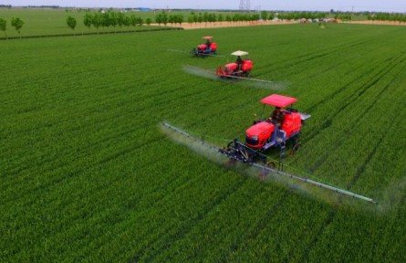 安徽濉溪：做強農業(yè)“芯片” 創(chuàng)造種業(yè)輝煌