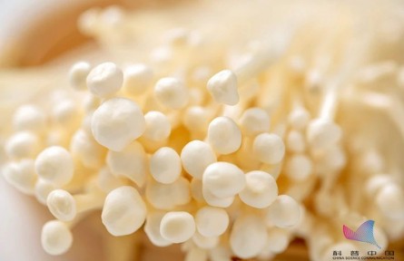 平時吃的金針菇，其實多是銀針菇？兩者有何不同？