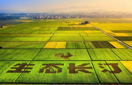 福建：山河巨變展新顏 “進(jìn)則全勝”繪新篇