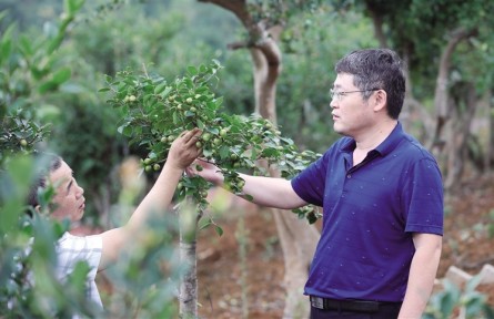 大連民族大學(xué)：把科技送到田間地頭