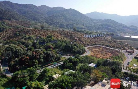 共享農(nóng)莊成為海南“三農(nóng)”新品牌 已創(chuàng)建試點200家