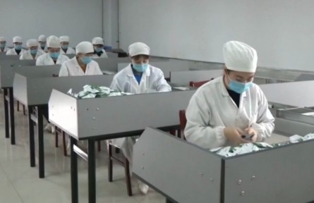 河北：從賣“原字號”到賣制成品 農業(yè)龍頭項目助力鄉(xiāng)村振興