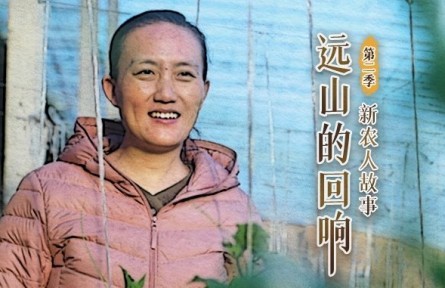 清華女博士后回村務(wù)農(nóng)：你想要的，土地都能給你