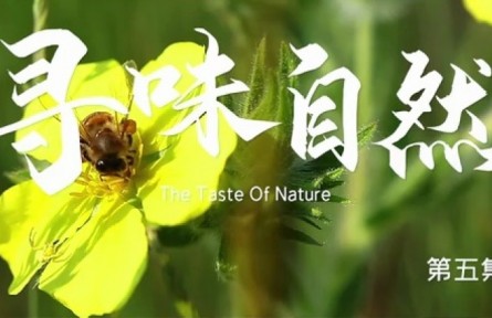 美麗中國·The Great Beauty of China: The Taste of Nature