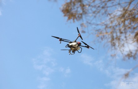 都市金領(lǐng)“慧”種地 拒絕“躺平”帶老鄉(xiāng)轉(zhuǎn)型新農(nóng)人