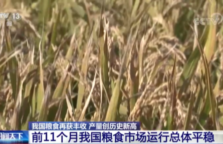 農(nóng)業(yè)農(nóng)村部：我國糧食市場運(yùn)行總體平穩(wěn)