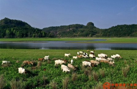 福建泰寧南會(huì)村：發(fā)揮生態(tài)優(yōu)勢 助力鄉(xiāng)村振興