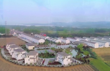 美麗鄉(xiāng)村，振興有我 | 安徽鳳陽：記四位農(nóng)村青年在鄉(xiāng)村廣闊舞臺上奮斗青春