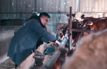 美麗鄉(xiāng)村，振興有我 | 安徽鳳陽：大學(xué)生“鄉(xiāng)官”耿陽扎根基層投身鄉(xiāng)村振興?