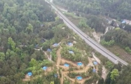 貴州紫云：發(fā)展林下經(jīng)濟(jì) 讓綠水青山變成金山銀山