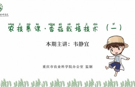 香菇栽培技術(shù)（一）