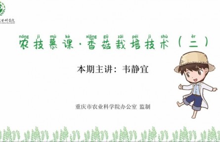 香菇栽培技術(shù)（二）