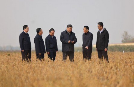 中央農(nóng)村工作會(huì)議部署糧食安全，總書記為何強(qiáng)調(diào)“責(zé)任”兩個(gè)字