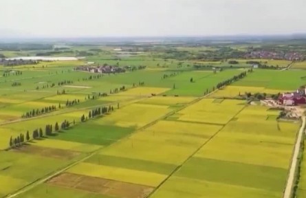 【穩(wěn)字當(dāng)頭 穩(wěn)中求進(jìn)：怎么看 怎么辦】守住兩條底線 夯實“壓艙石”