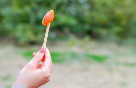 科技名詞 | 寡糖 oligosaccharide