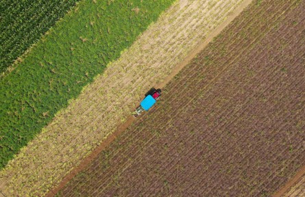 河南省2022年計(jì)劃新建高標(biāo)準(zhǔn)農(nóng)田756萬畝 確保年產(chǎn)糧1300億斤以上