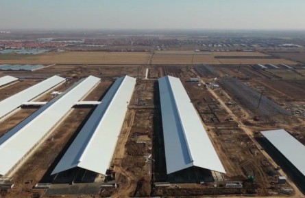 山東省濰坊市：搶抓黃河流域高質(zhì)量發(fā)展戰(zhàn)略機(jī)遇 擦亮農(nóng)業(yè)金字招牌