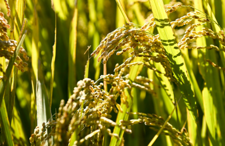 中央部委密集開會(huì)，2022年要干哪些民生實(shí)事？