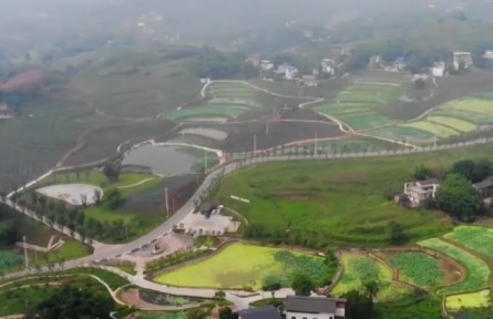 重慶：助力鄉(xiāng)村振興 819家民企參與“萬企興萬村”行動(dòng)