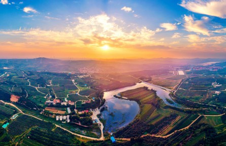 山東省煙臺市：鄉(xiāng)村振興闊步行 齊魯樣板成色足