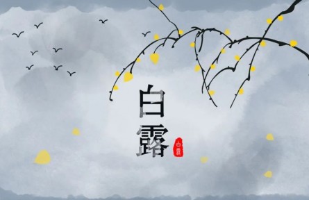 白露，繁華季節(jié)的謝幕