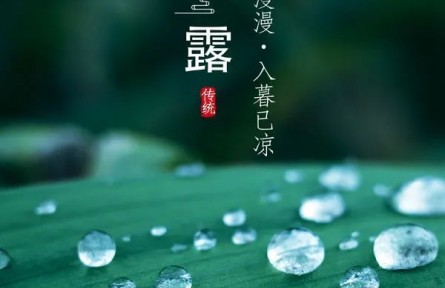 寒露，露似真珠月似弓