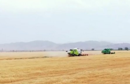 2021年中國農(nóng)業(yè)農(nóng)村發(fā)展取得顯著成效