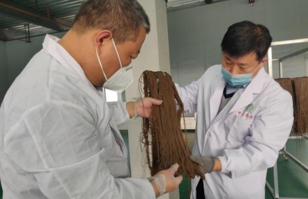 延安大學(xué)王曉澗：為陜北小雜糧注入更高的科技含量