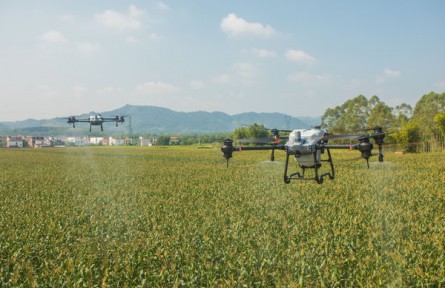 河南孟州：農(nóng)業(yè)社會化服務(wù)織密農(nóng)村公共服務(wù)網(wǎng)