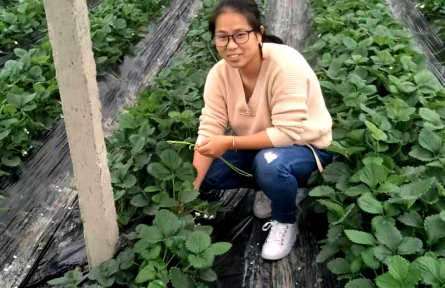 浙江德清沈佳：大學(xué)生變身“新農(nóng)人”